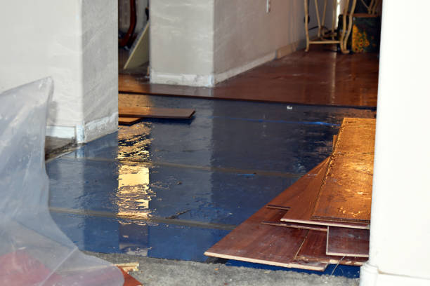 Professional Emergency Water Damage Restoration technician working in Avenel, NJ